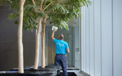 What Window Cleaning Services Is Designed for Your Office?
