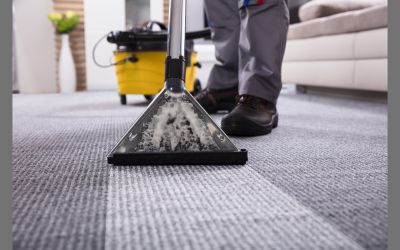 Unleash the Power of Professional Carpet Cleaning Services to Revitalize Your Space