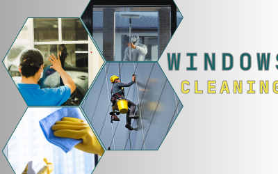 Crystal Clear Views: Transforming Spaces with Expert Window Cleaning Services