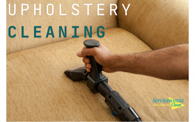 Upholstery Elegance: Unveiling the Wonders of Expert Upholstery Cleaning